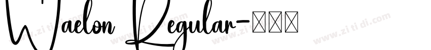 Waelon Regular字体转换